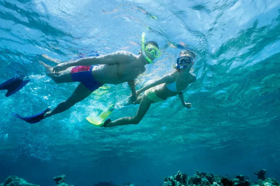 Snorkeling by Boat to Ras Mohamed & White Island