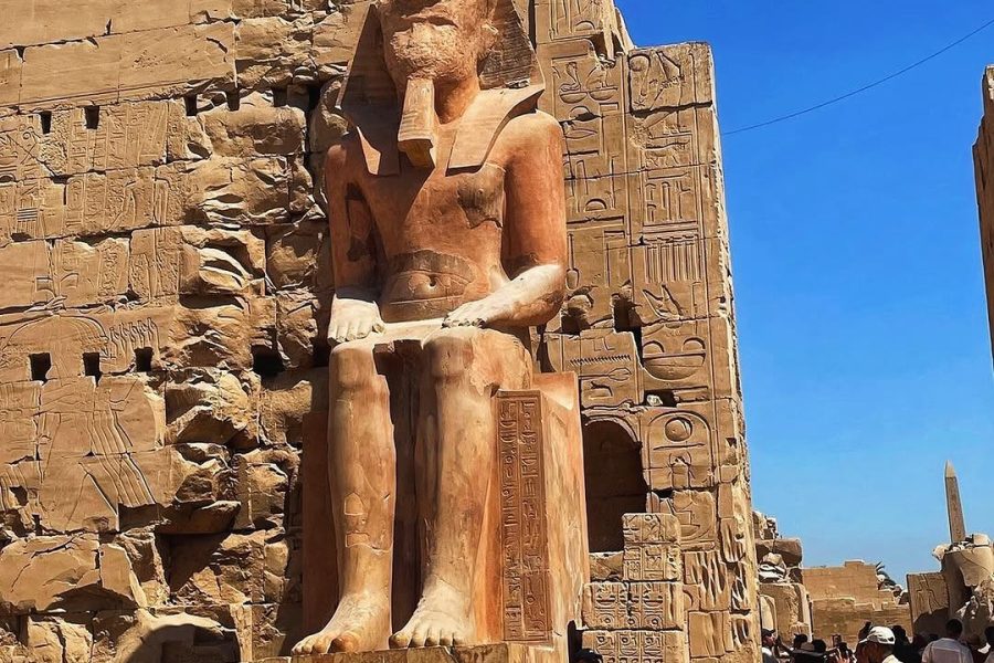 Karnak And Luxor Temples Private Tour Half-Day Tour