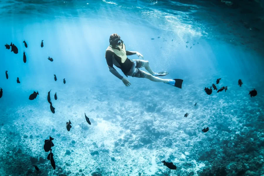 Scuba diving Hurghada