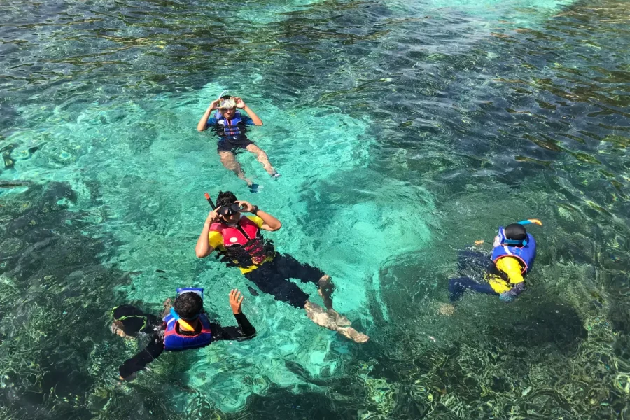 Ras Mohammed Snorkeling Day Trip from Sharm Marina