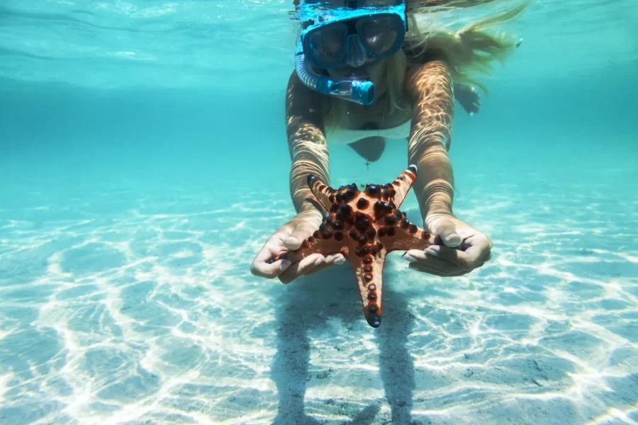 Snorkeling at Mahmya Island from Hurghada